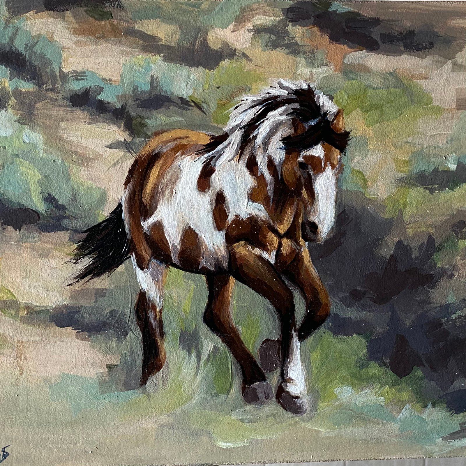 Picasso